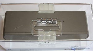 Fresh n_Rebel_Curve_5